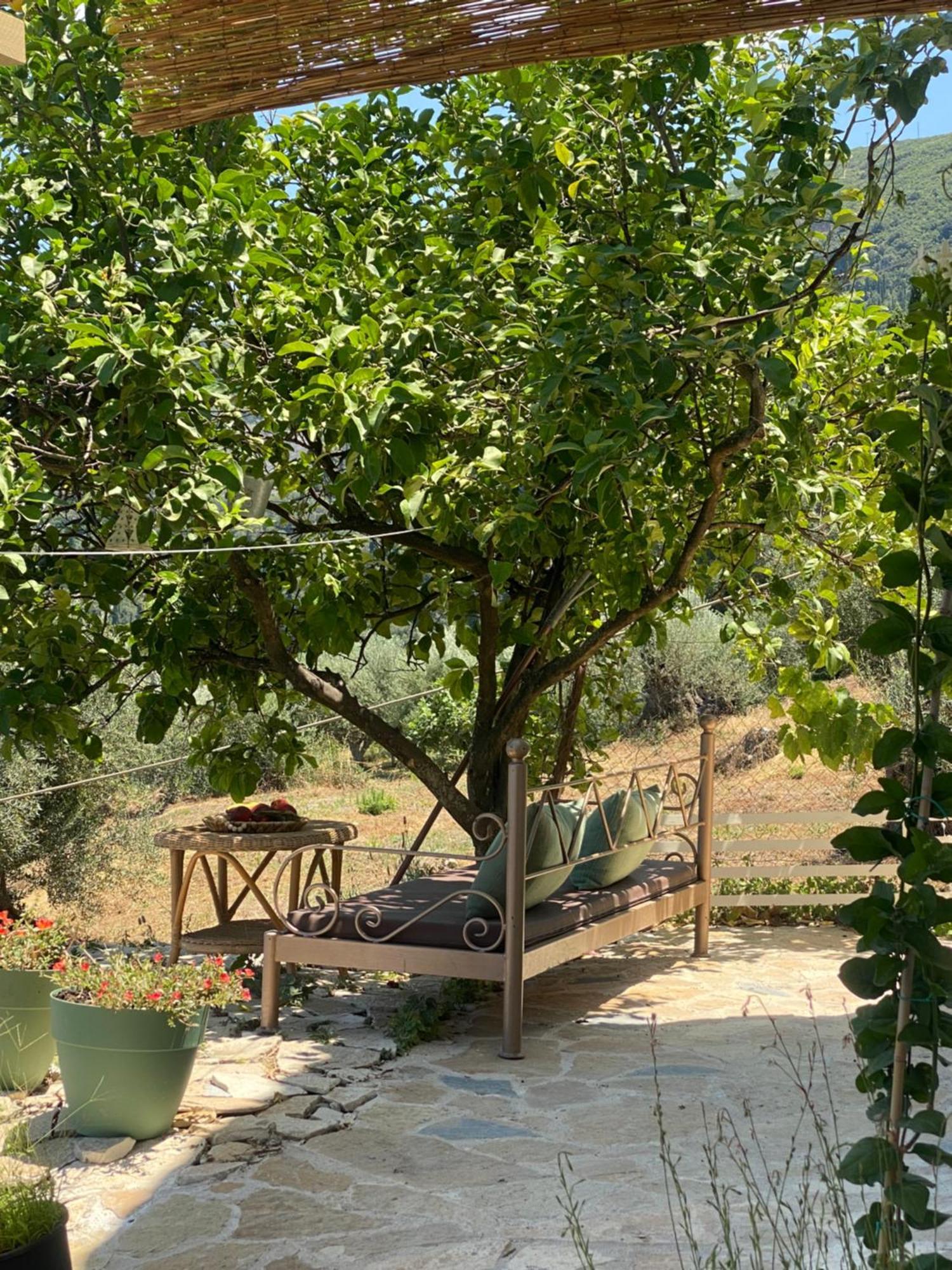 Dinateli Houses - Live Like A Local In Corfu Kastellanoi  Kültér fotó